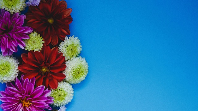 应与渴望 应与渴望