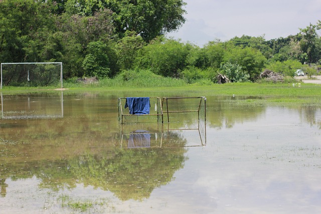 状态及应对 状态及应对
