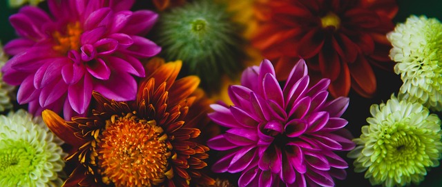 一步步走近 一步步走近