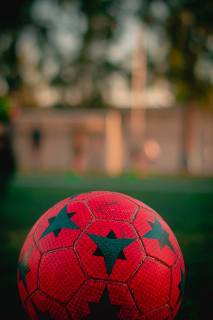 很多球迷脑 很多球迷脑