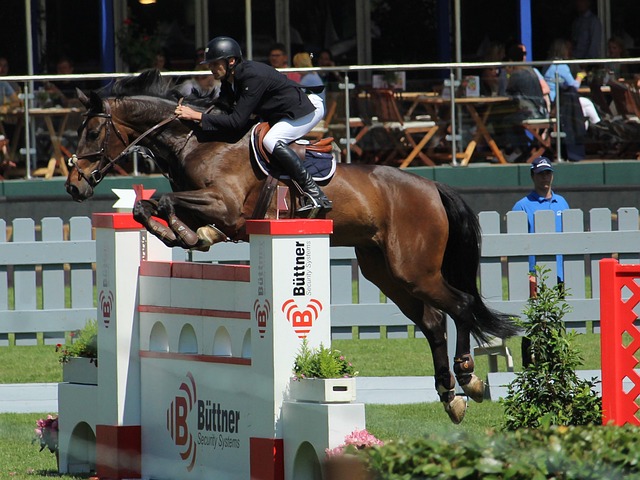 擊敗德國 擊敗德國