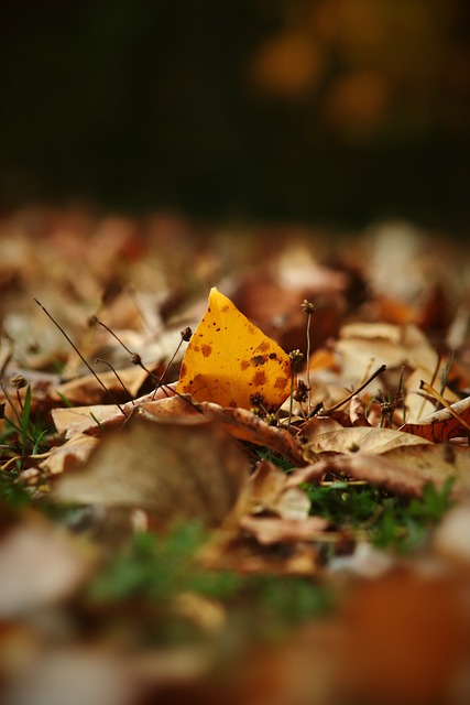 定的前瞻性 定的前瞻性