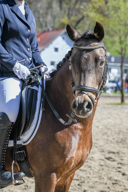 个人表现 个人表现