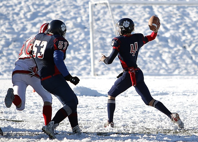 冰队员出众 冰队员出众