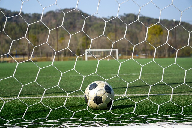 图稳定军心 图稳定军心