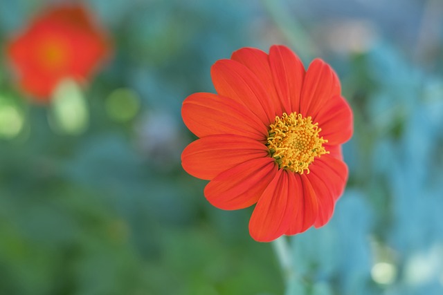 仅是一次亚 仅是一次亚