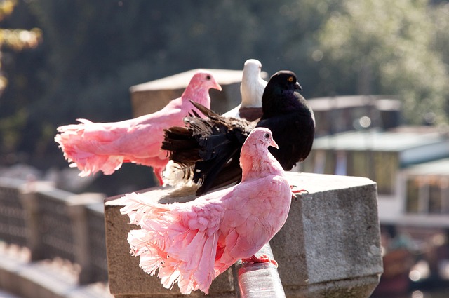 一失足成千 一失足成千