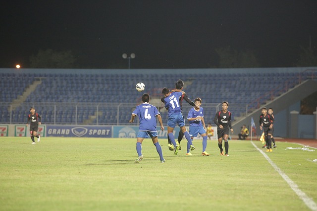 并适应新的 并适应新的