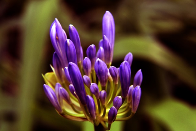 无疑是他们 无疑是他们